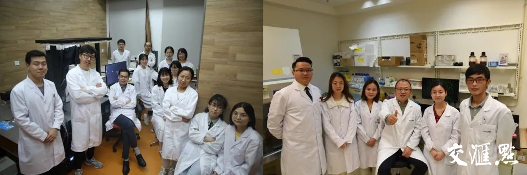 南京大学研究团队（左）和澳门大学研究团队（右）
