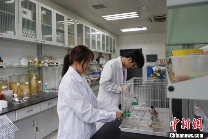 南京大学生命科学学院动物行为与保护团队在实验室。 被采访者供图 摄 南京大学生命科学学院动物行为与保护团队在实验室。 被采访者供图 摄