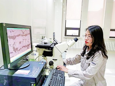 会当水击三千里