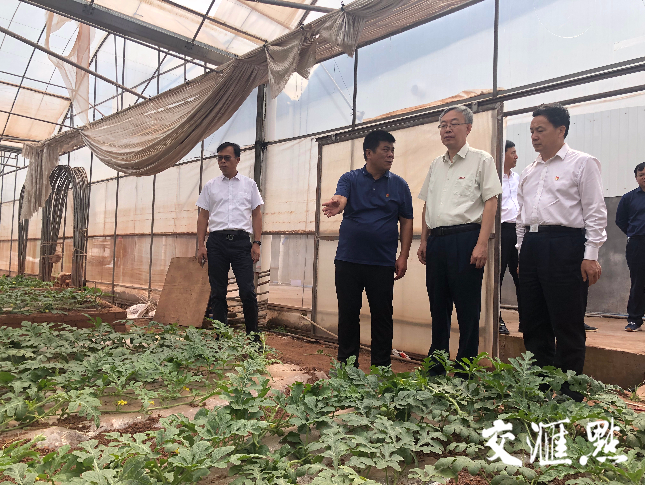现场考察农盛农业种植基地