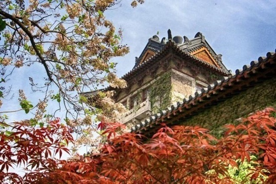 1589961553200882.png?x-oss-process=style/w10 image.png?x-oss-process=style/w10