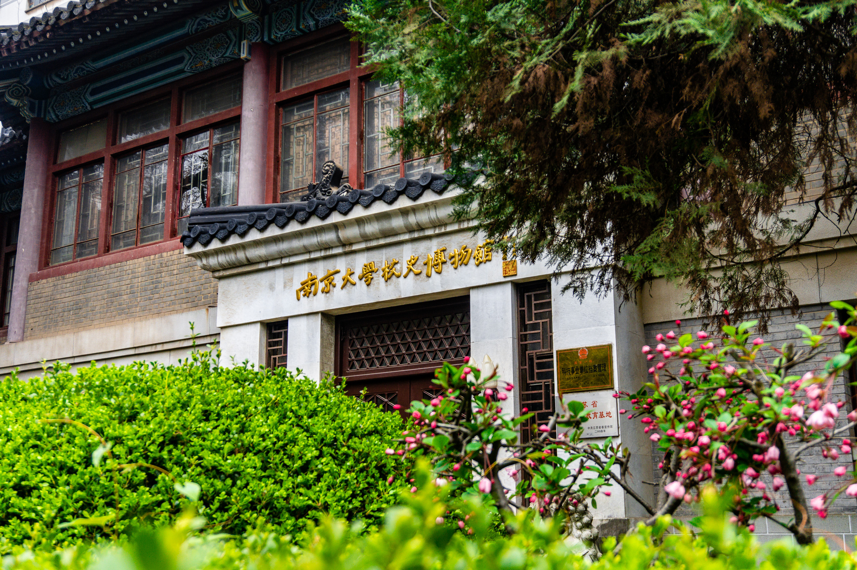 南京大学 gallery image 1